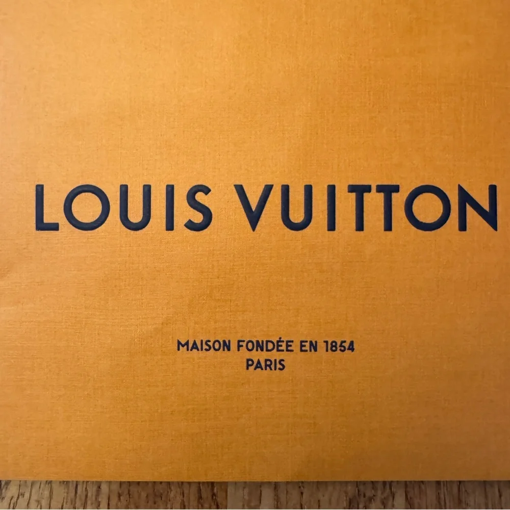 LOUIS VUITTON small paper gift bag with handles